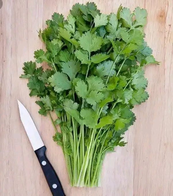 REASONS WHY YOU SHOULD EAT DHANIA DAILY.