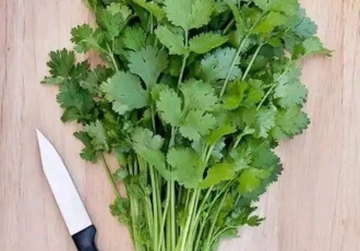 REASONS WHY YOU SHOULD EAT DHANIA DAILY.