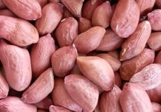 BENEFITS OF GROUNDNUTS TO YOUR BODY